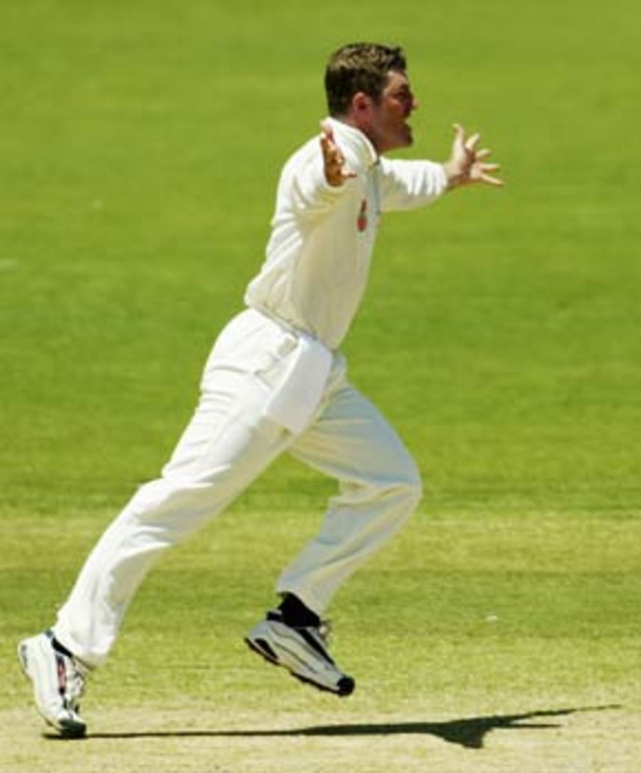 There were scares for India, as MacGill struck, Australia v India, 2nd Test, Adelaide, 5th day, December 16, 2003