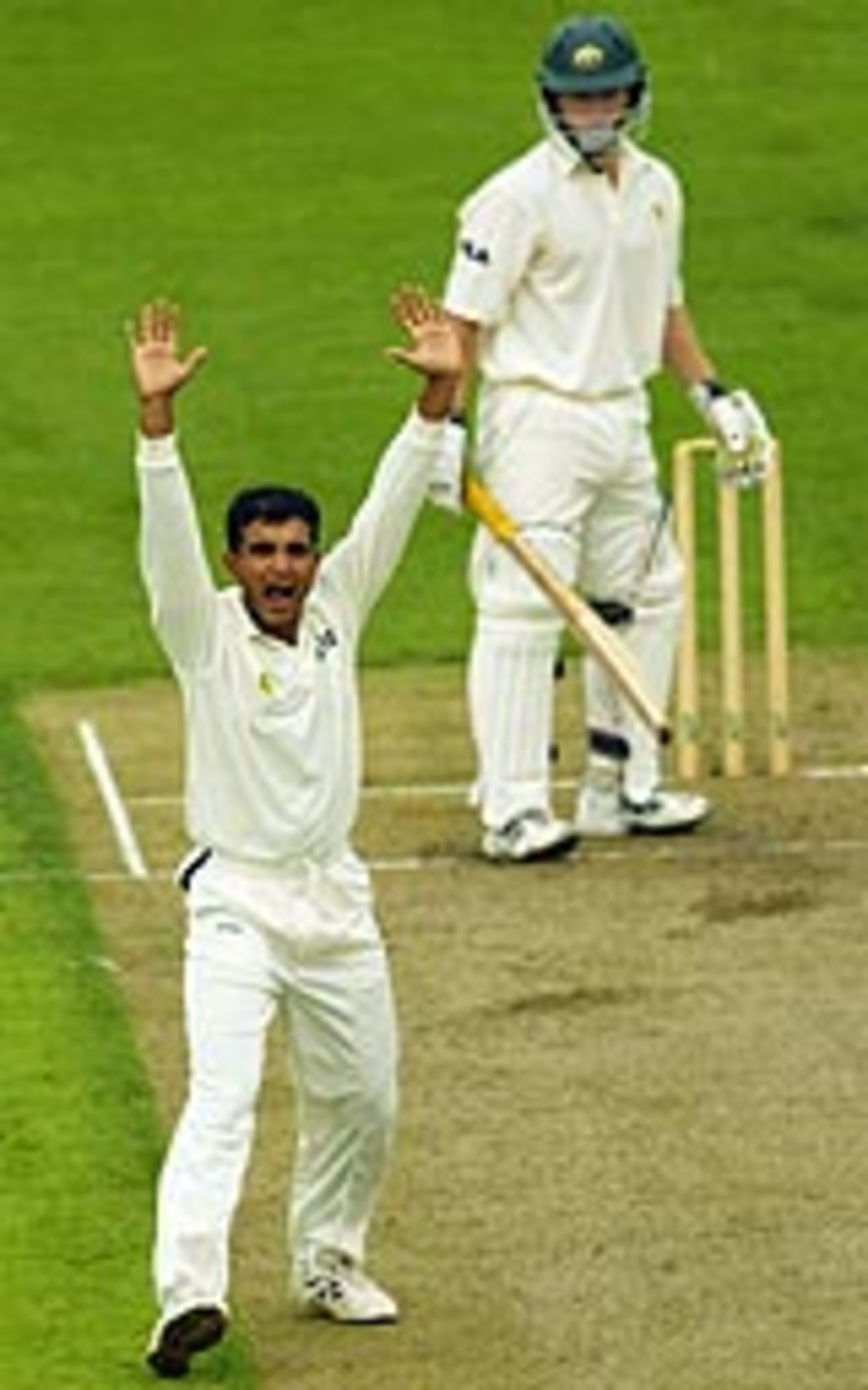 Sourav Ganguly launches into an exuberant appeal against Chris Rogers, Australia A v Indians, tour game, Hobart, 1st day, December 19, 2003
