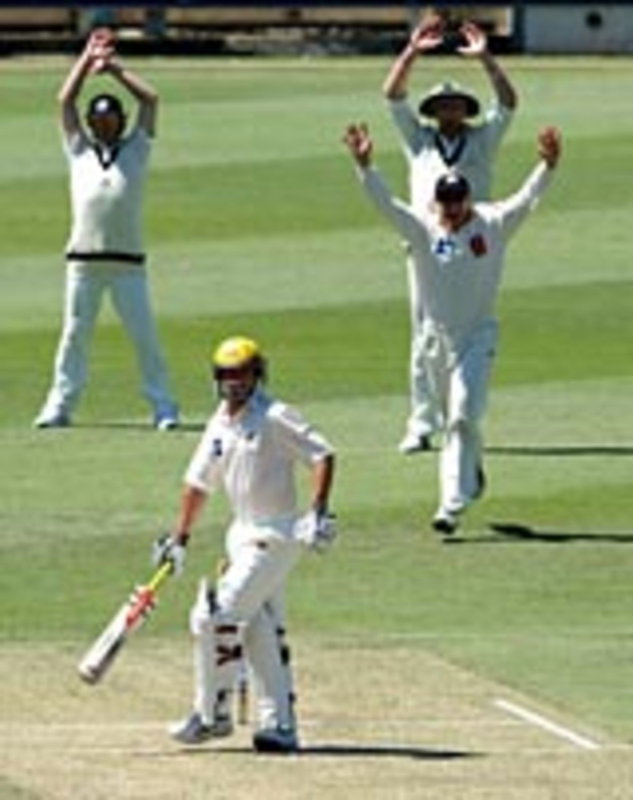 Brad Hogg is caught by wicketkeeper Peter Roach, Western Australia v Victoria, Perth, December 20, 2003
