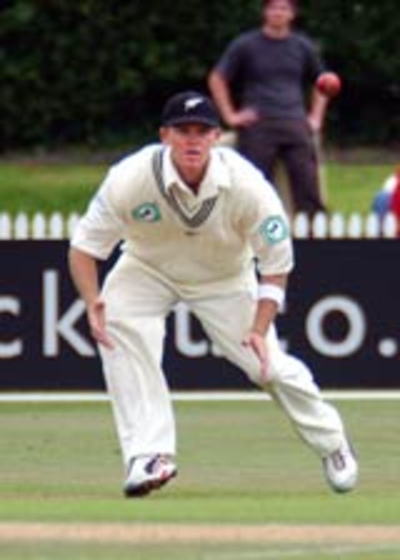 Lou Vincent stays sharp, New Zealand v Pakistan, 1st Test, Hamilton, 3rd day, December 21, 2003