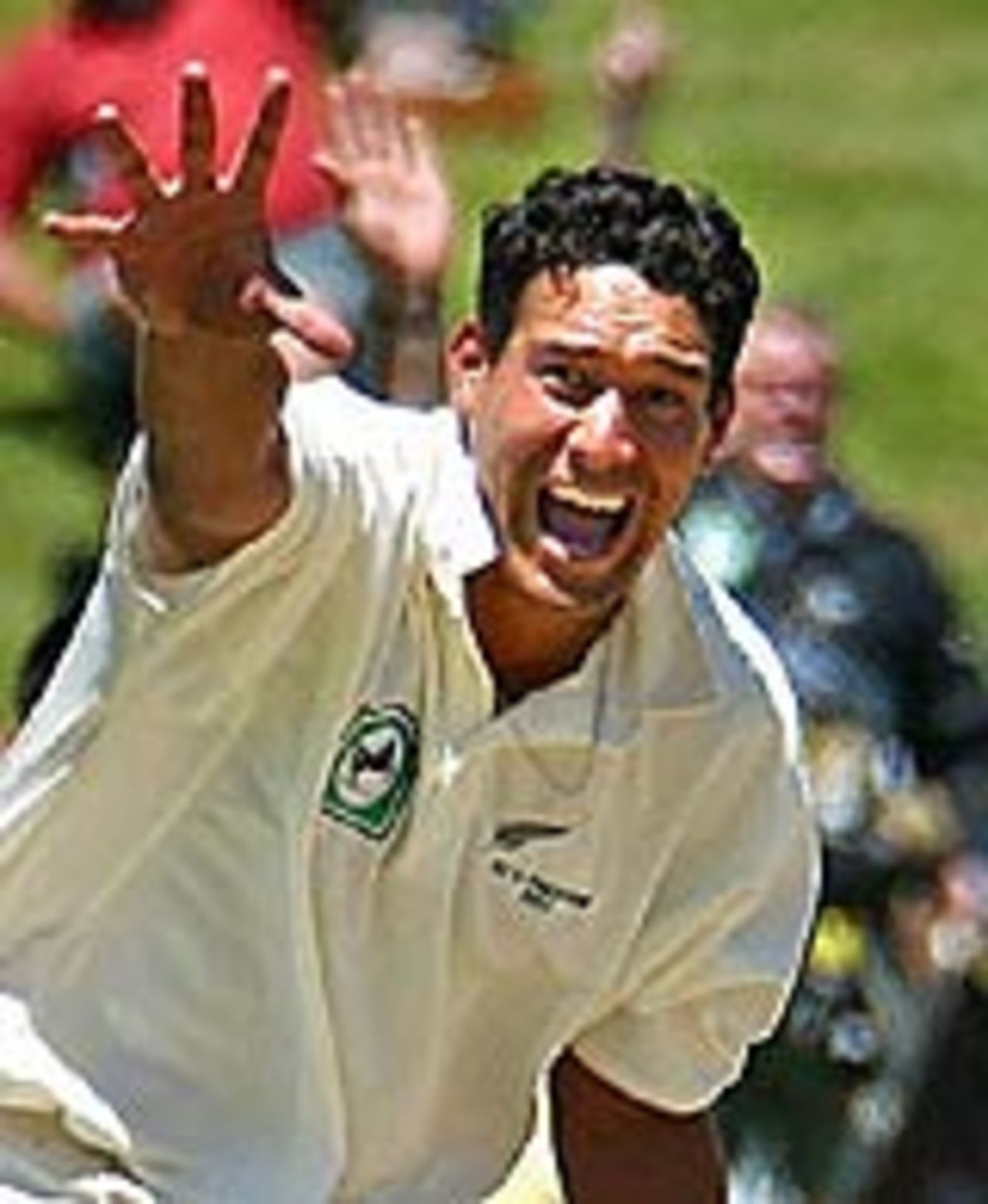 Daryl Tuffey appeals, New Zealand v Pakistan, 1st Test, Hamilton, 4th day, December 22, 2003