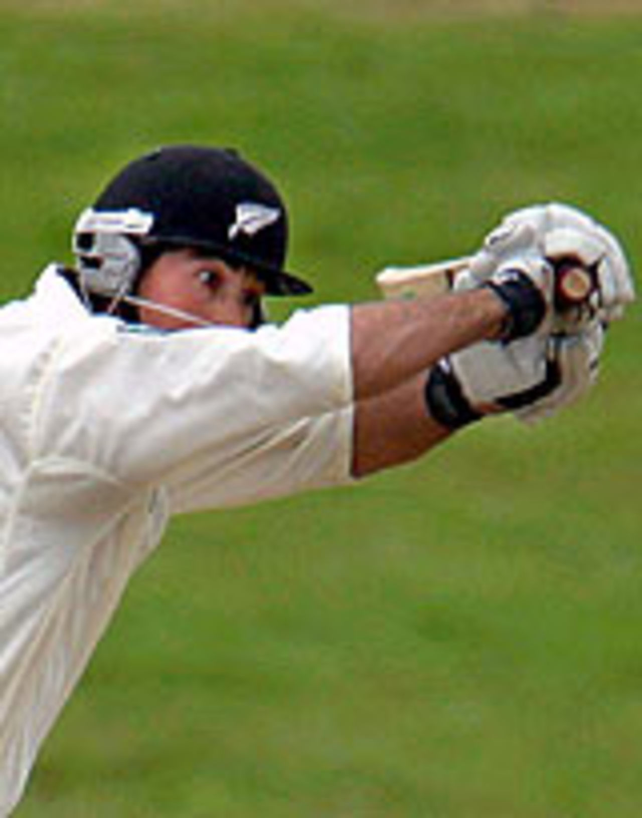 Stephen Fleming shoulders arms, New Zealand v Pakistan, 1st Test, Hamilton, 5th day, December 23, 2003