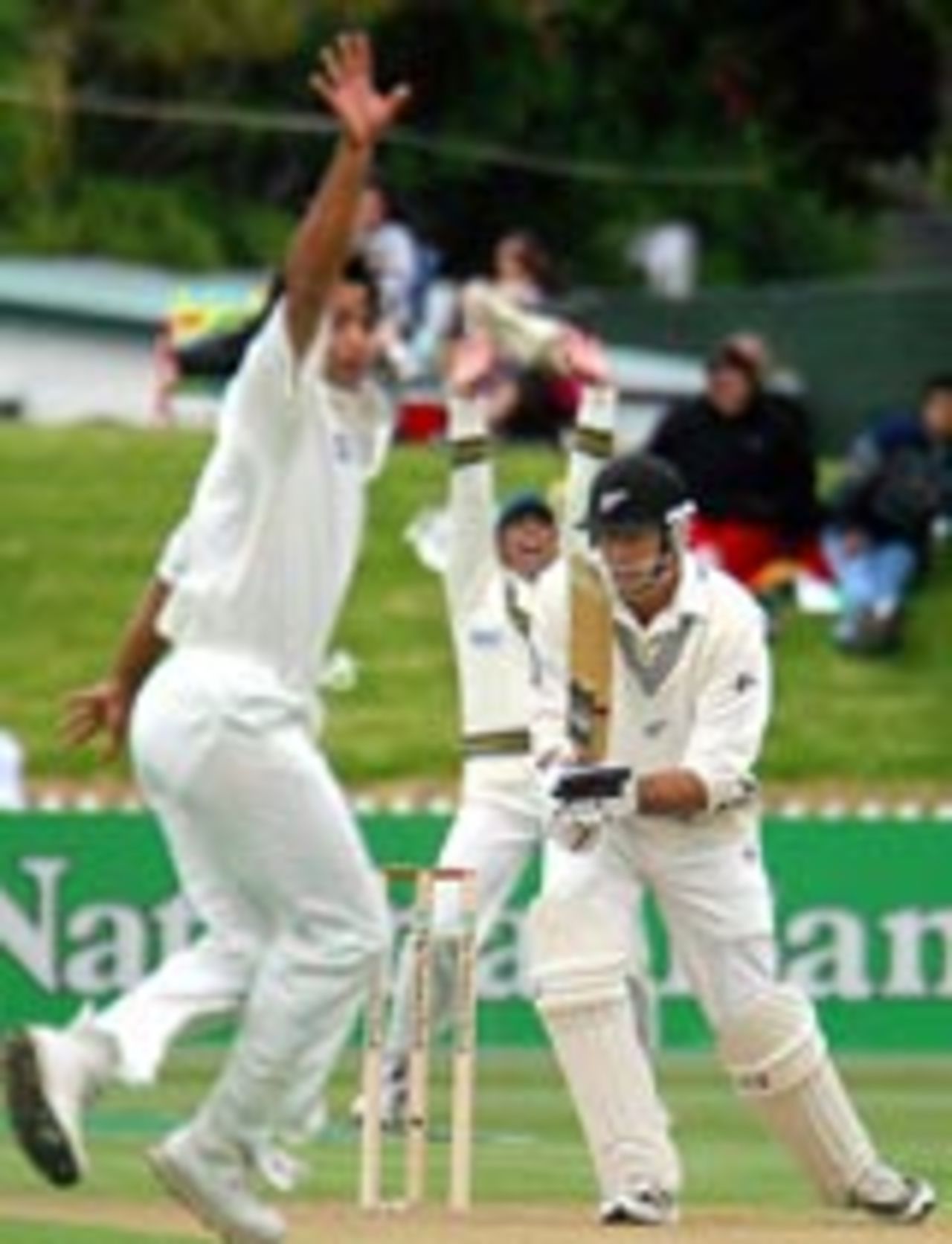 Shoaib Akhtar traps Stephen Fleming in front, New Zealand v Pakistan, 2nd Test, Wellington, 1st day, December 26, 2003