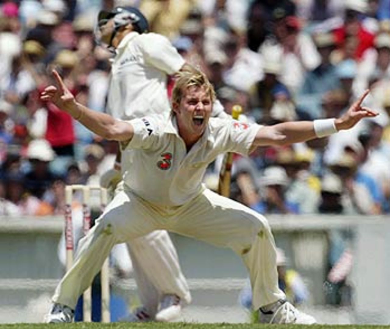 Howzzat? Brett Lee appeals after hitting Akash Chopra on the pads, Australia v India, 3rd Test, Melbourne, 1st day, December 26, 2003