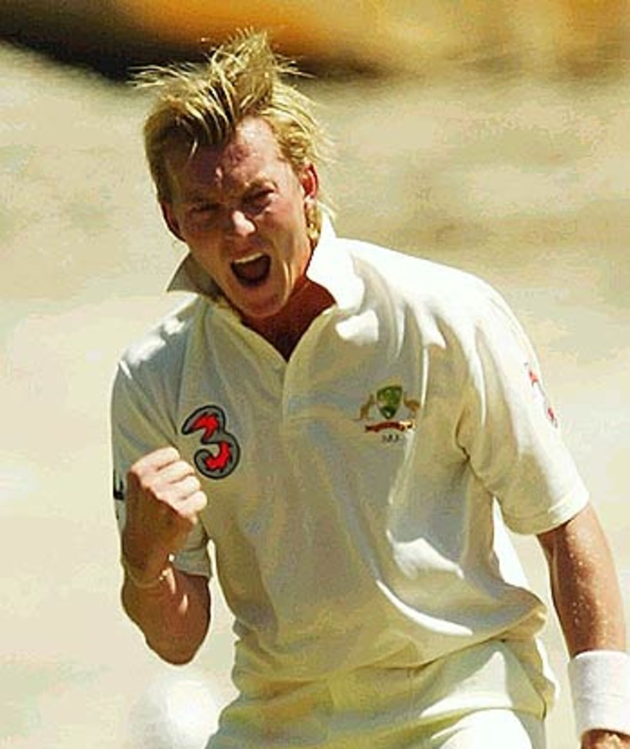 Absolut Lee. Brett Lee picks up Sourav Ganguly's wicket, Australia v India, 3rd Test, Melbourne, 2nd day, December 27, 2003