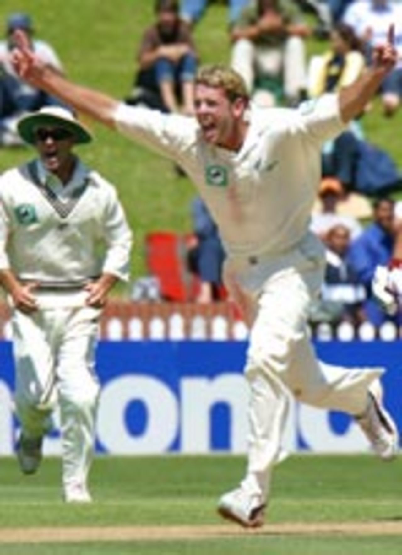 Ian Butler celebrates the wicket of Abdul Razzaq, New Zealand v Pakistan, 2nd Test, Wellington, 3rd day, December 28, 2003