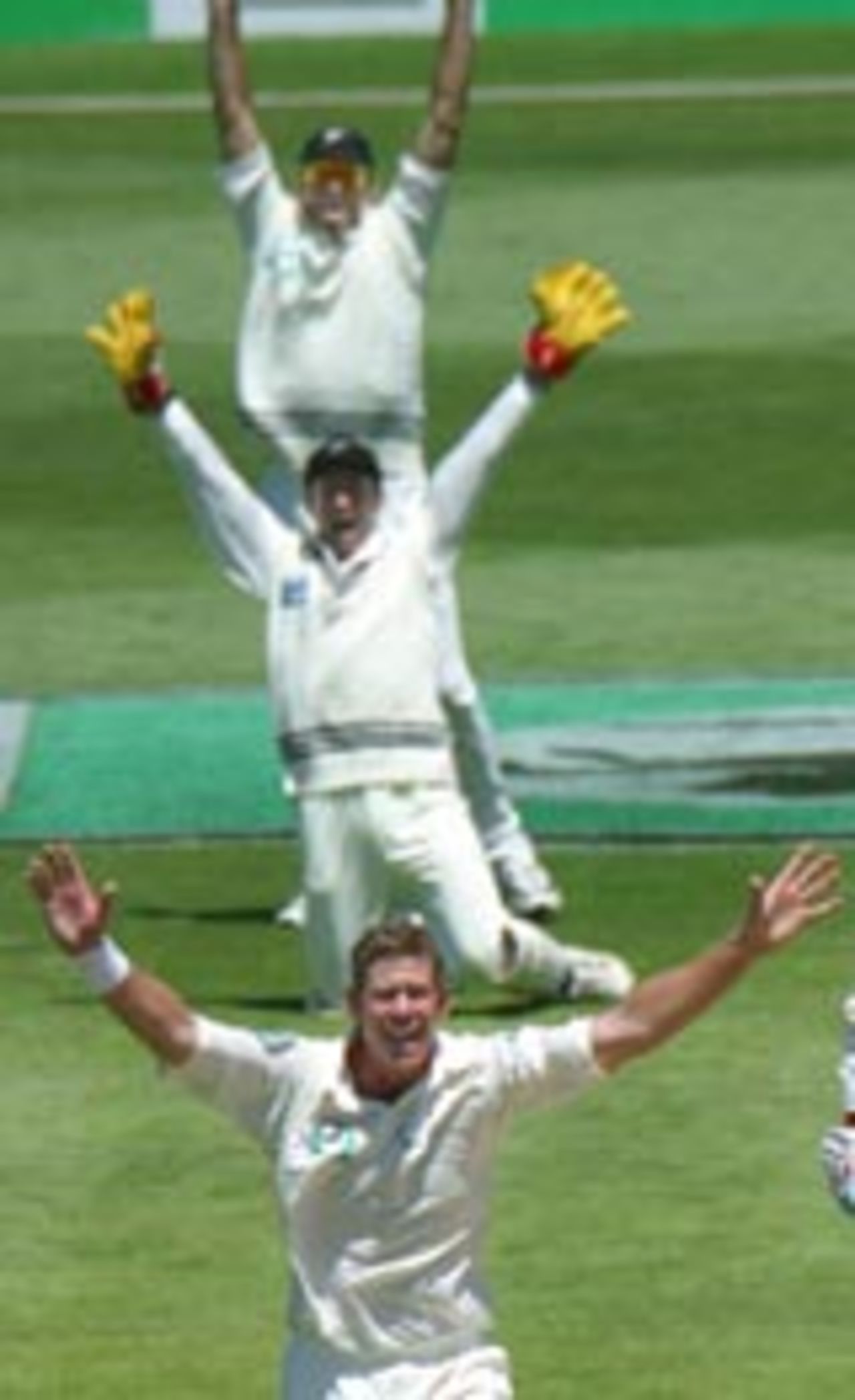 Jacob Oram, Robbie Hart and Stephen Fleming go up in appeal, New Zealand v Pakistan, 2nd Test, Wellington, 3rd day, December 28, 2003