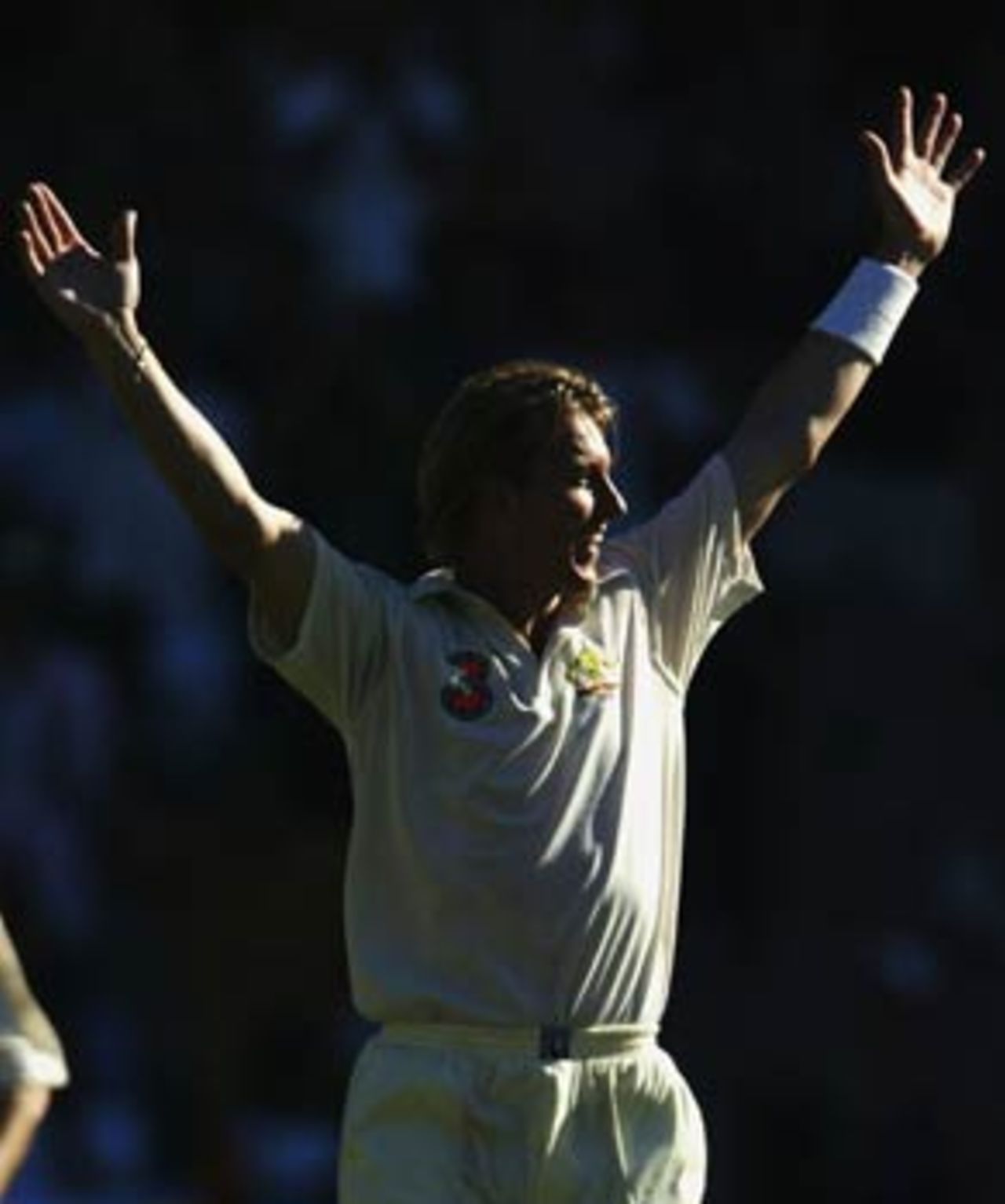 And knocked over Virender Sehwag, Australia v India, 3rd Test, Melbourne, 3rd day, December 28, 2003