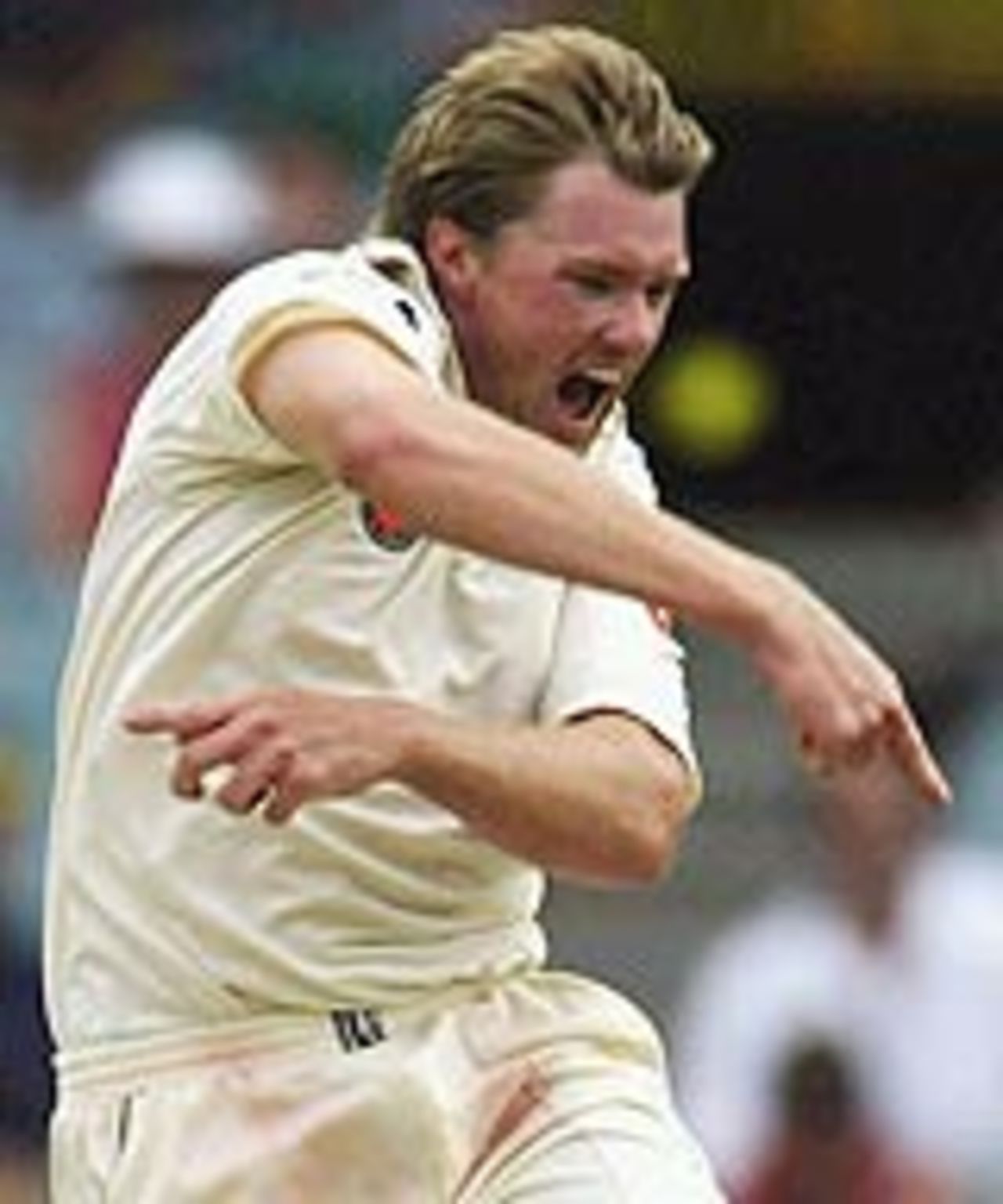Brad Williams celebrates after getting rid of Zaheer Khan, Australia v India, 3rd Test, Melbourne, 4th day, December 29, 2003