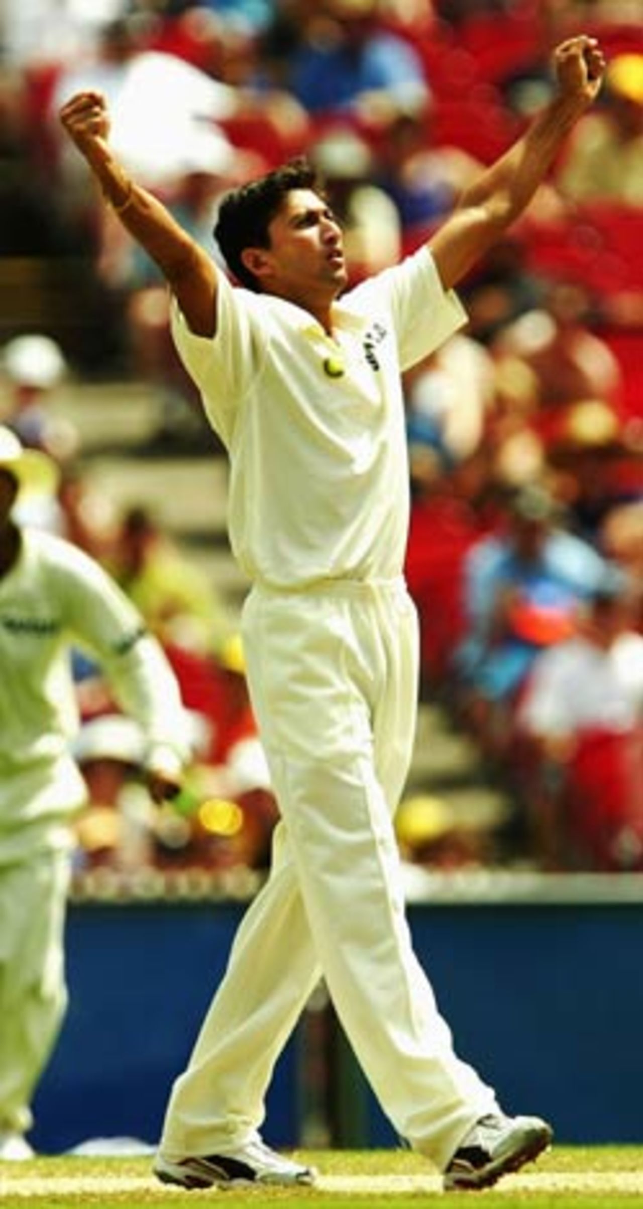 Ajit Agarkar celebrates what would be India's only success on the day, Australia v India, 3rd Test, Melbourne, 5th day, December 30, 2003