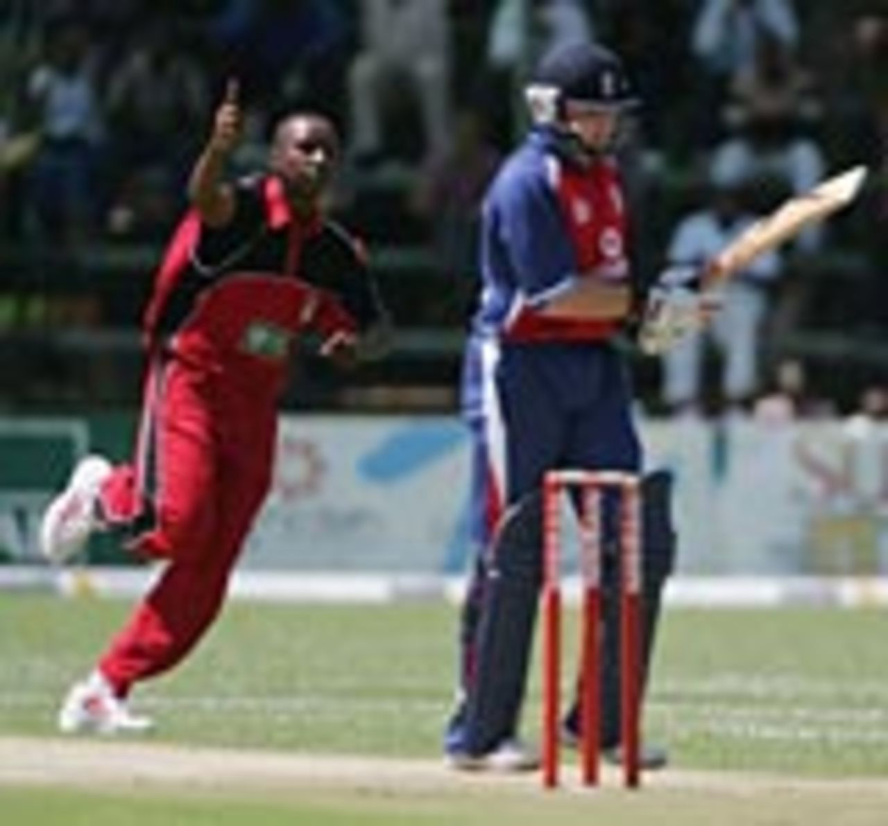 Tinashe Panyangara celebrates the wicket of Ian Bell, Zimbabwe v England, 2nd ODI, Harare, December 1, 2004