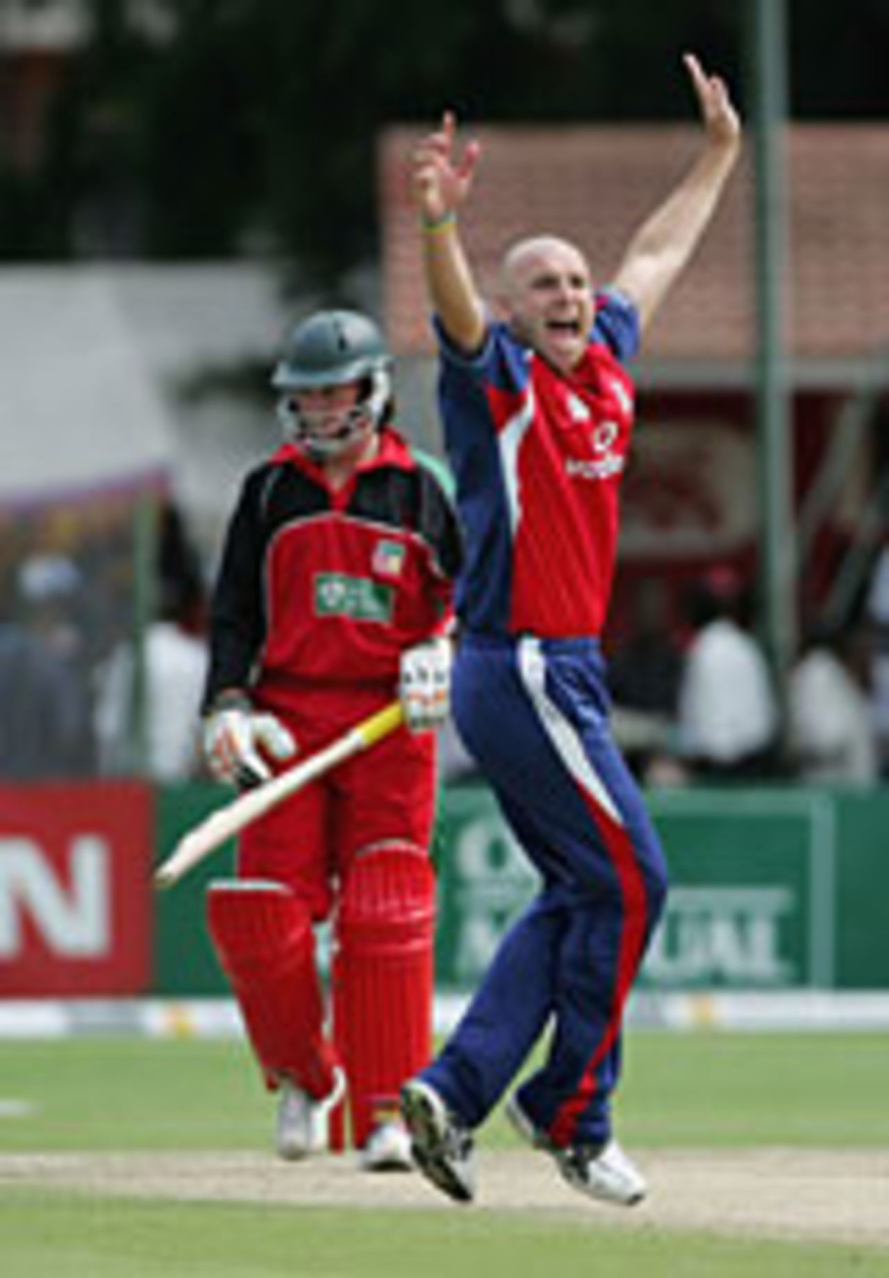 Alex Wharf wins his appeal against Brendan Taylor, Zimbabwe v England, 2nd ODI, Harare, December 1 2004