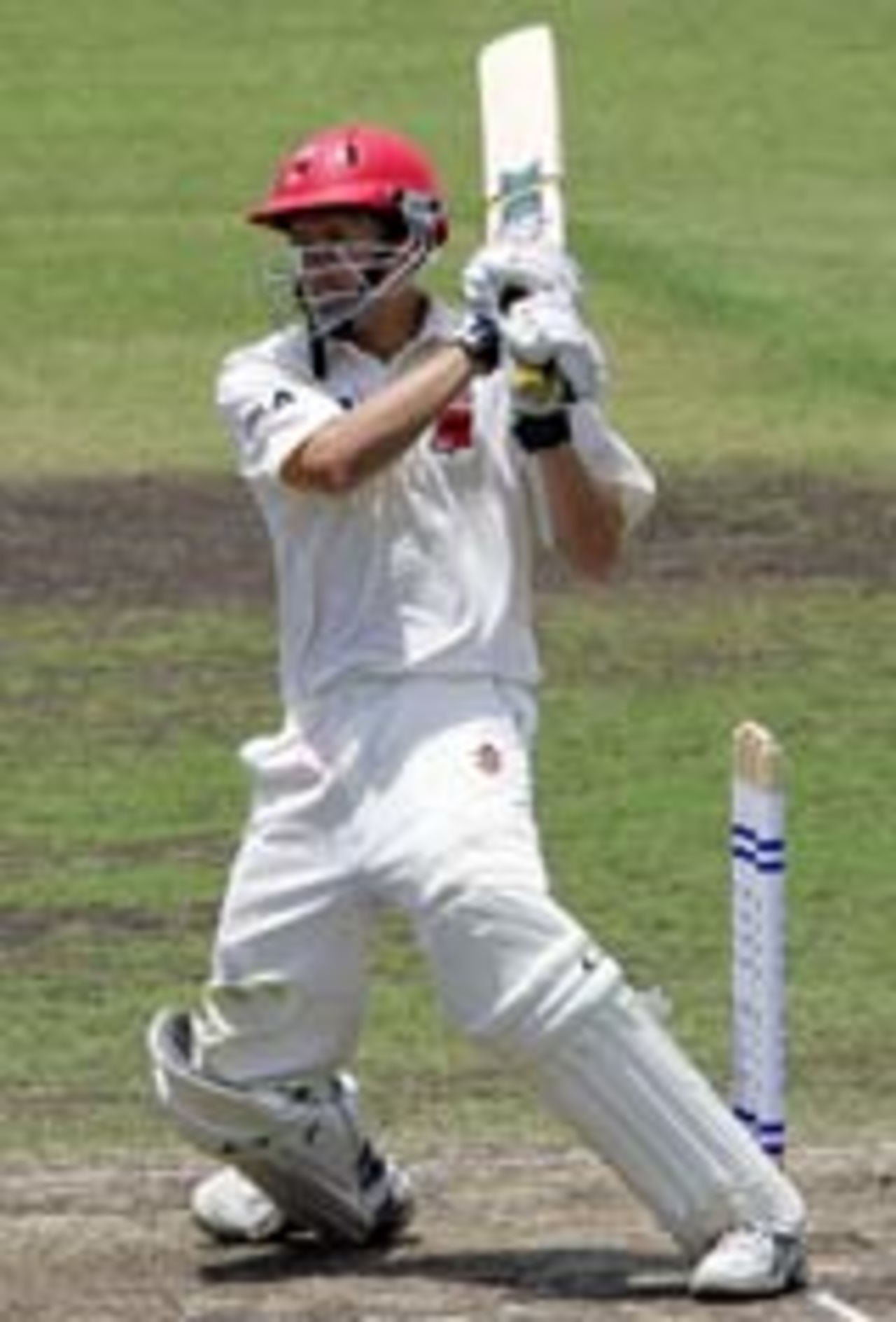 Tom Plant plays the pull shot, NSW v South Australia, Pura Cup, December 4, 2004