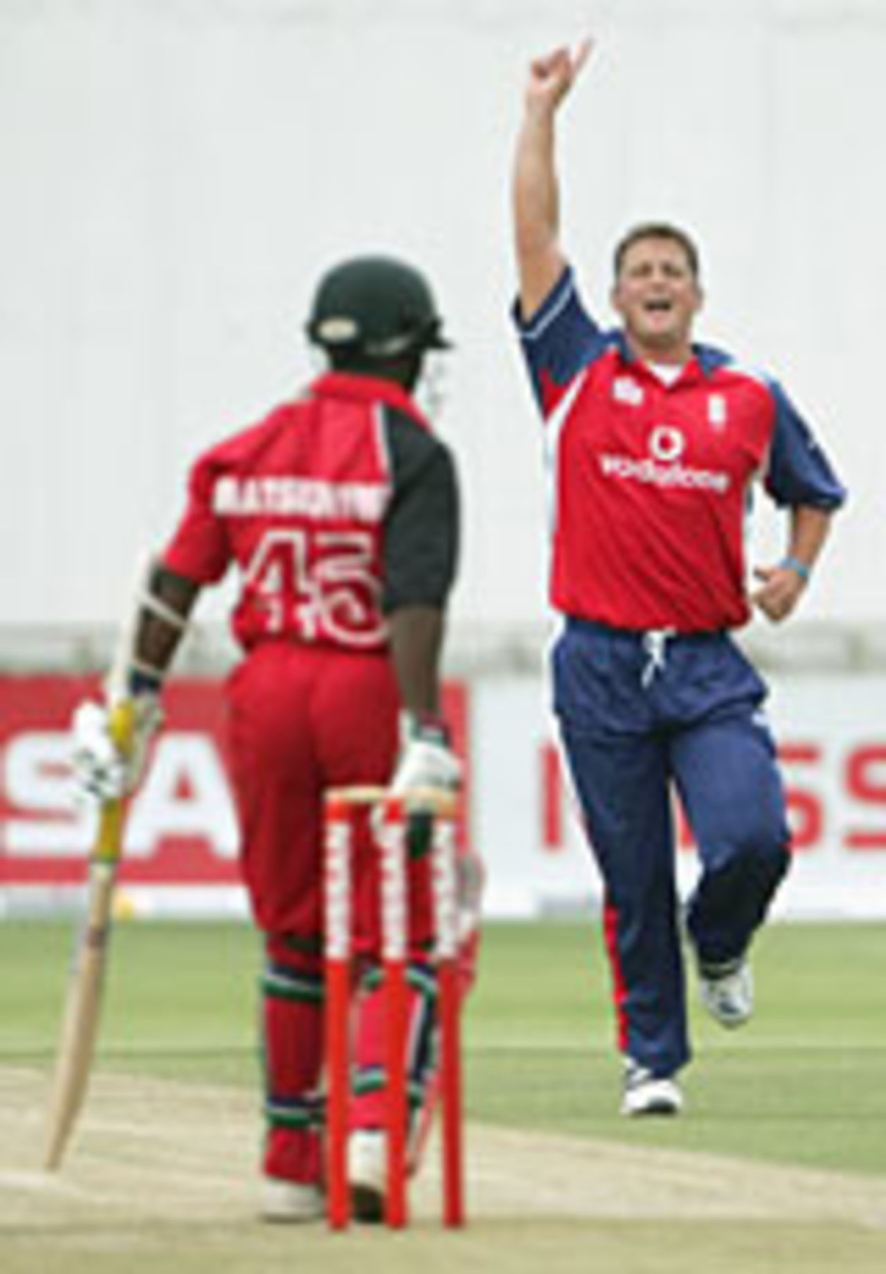 Darren Gough celebrates the wicket of Stuart Matsikenyeri, Zimbabwe v England, 4th ODI, Bulawayo, December 5 2004