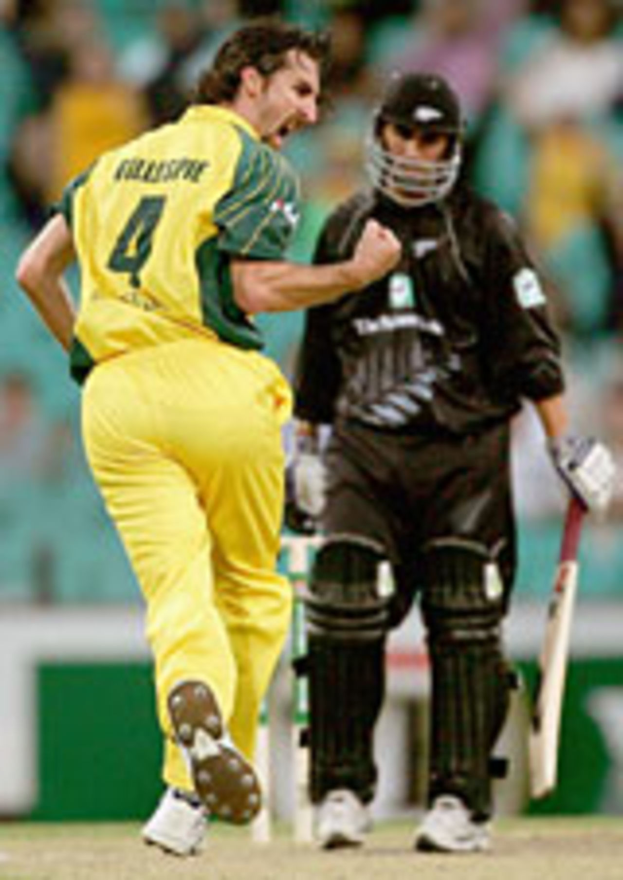 Jason Gillespie celebrates Mathew Sinclair's dismissal, 2nd ODI, Australia v New Zealand, December 8 2004