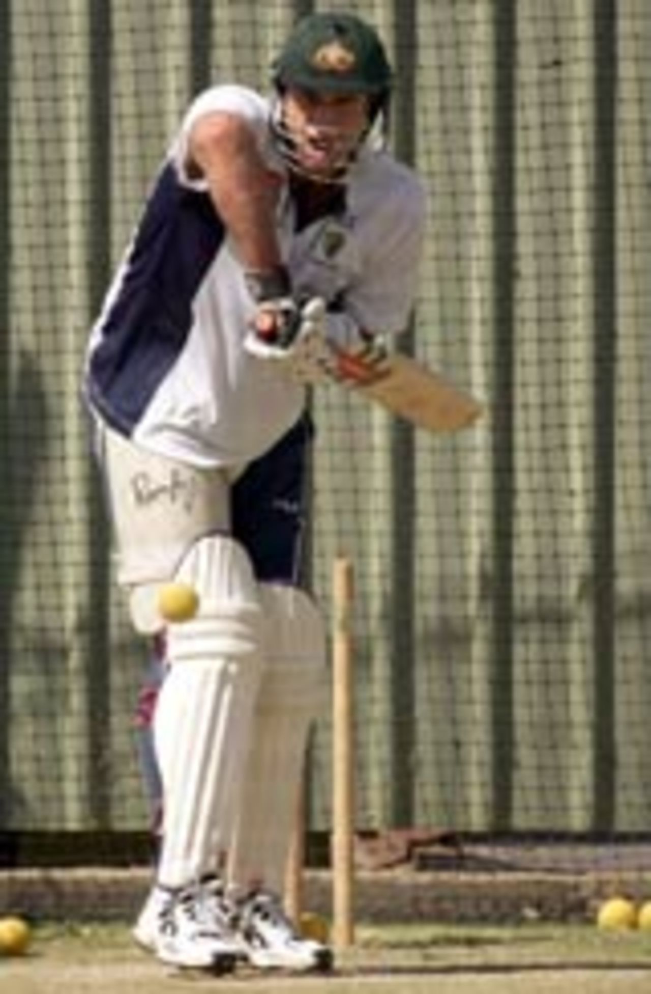 Matthew Hayden batting in the nets, Perth, December 15, 2004