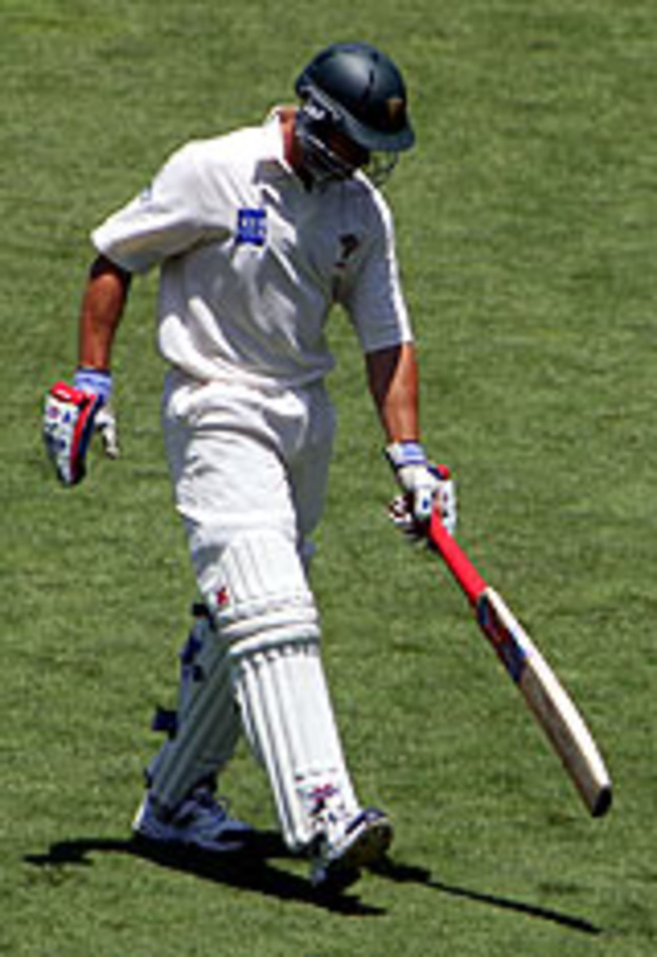 Michael Bevan walks away after being dismissed, New South Wales v Tasmania, Pura Cup, 1st day, SCG, December 16, 2004