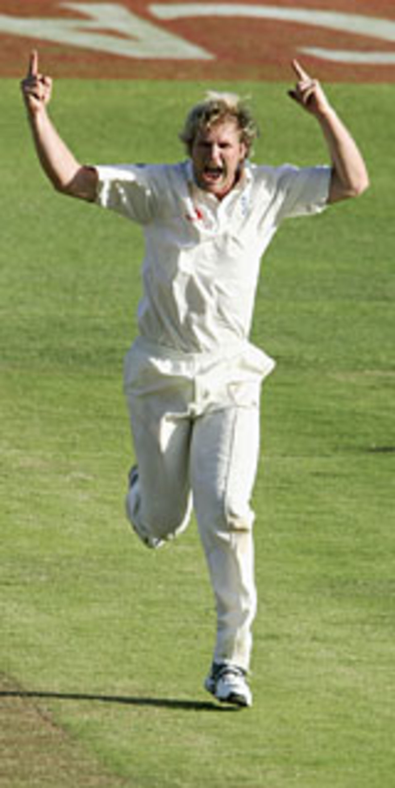 Matthew Hoggard enjoys Andrew Hall's dismissal, South Africa v England, 1st Test, 1st day, Port Elizabeth, December 17 2004