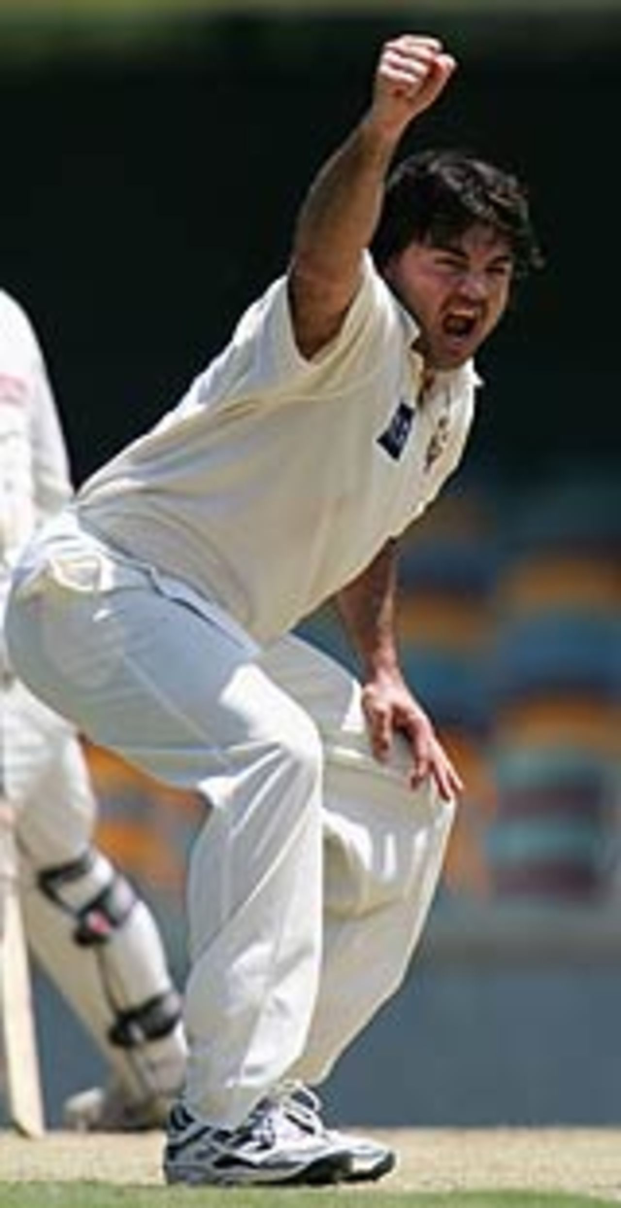 Joe Dawes appeals, Queensland v Victoria, Pura Cup, Brisbane, December 20, 2004