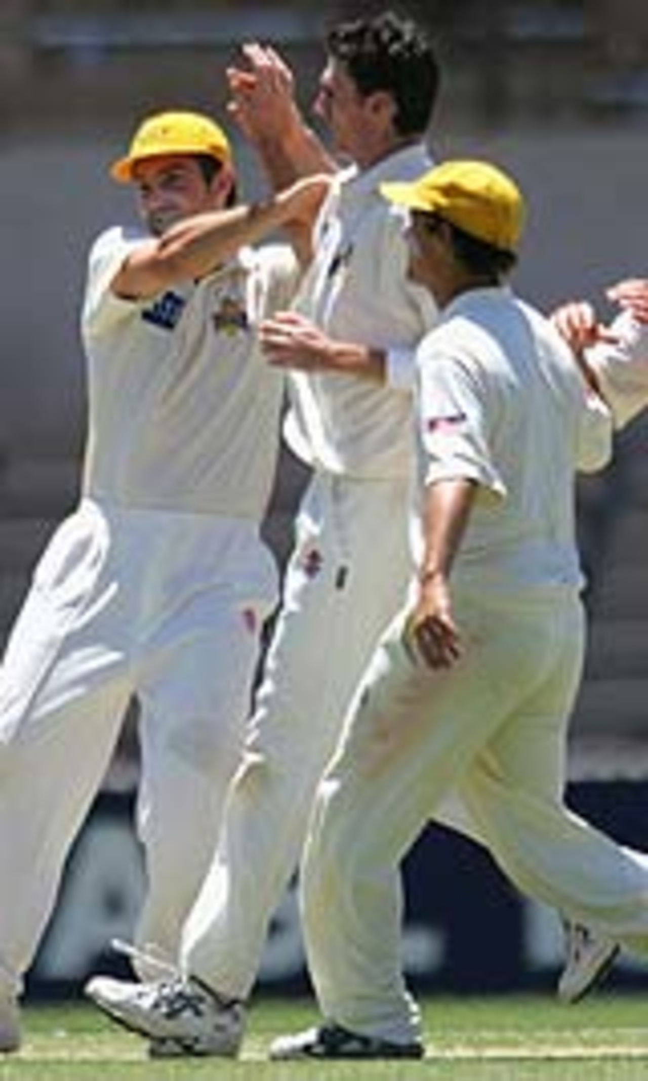 South Australia players celebrate a wicket, South Australia v Western Australia, Pura Cup, Adelaide, December 20, 2004