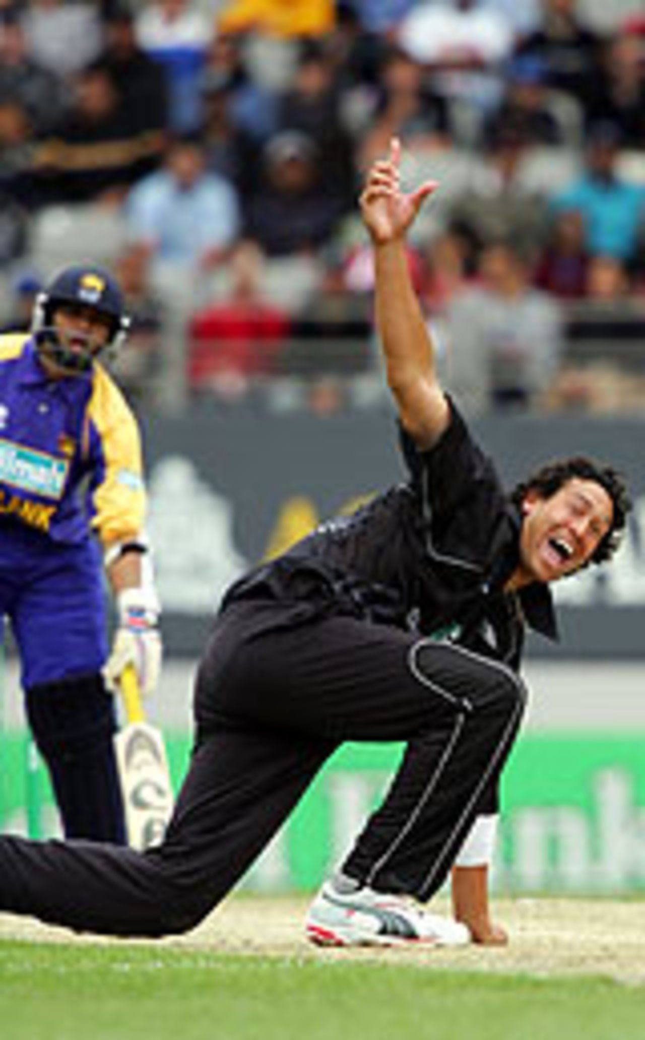 Daryl Tuffey on the ground appealing, New Zealand v Sri Lanka, 1st ODI, Auckland, December 26, 2004