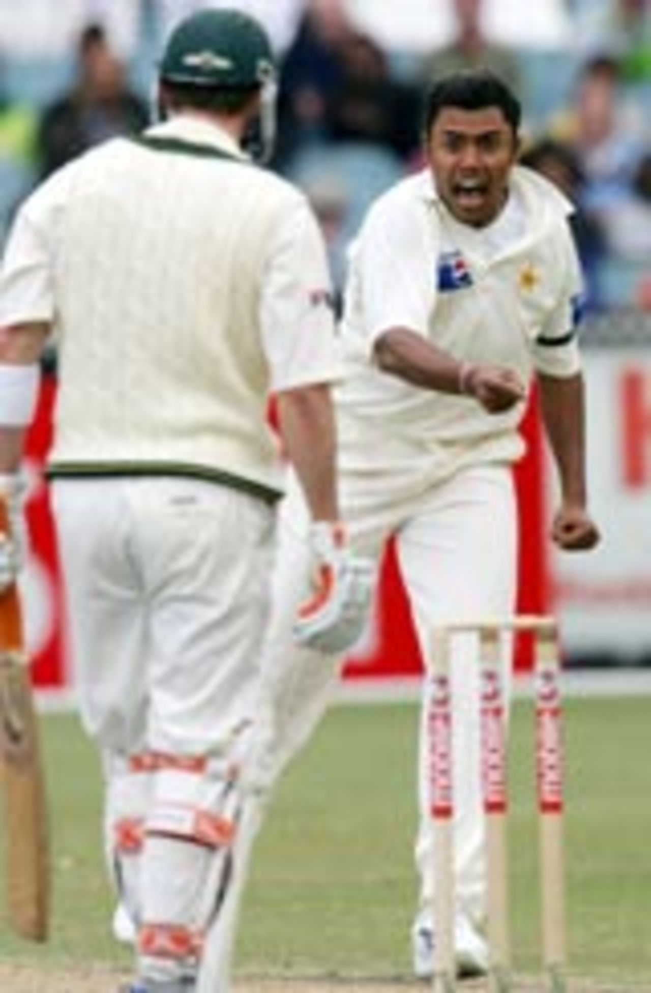 Danish Kaneria thrilled after nailing Damien Martyn, Australia v Pakistan, 2nd Test,  Melbourne, December 27, 2004
