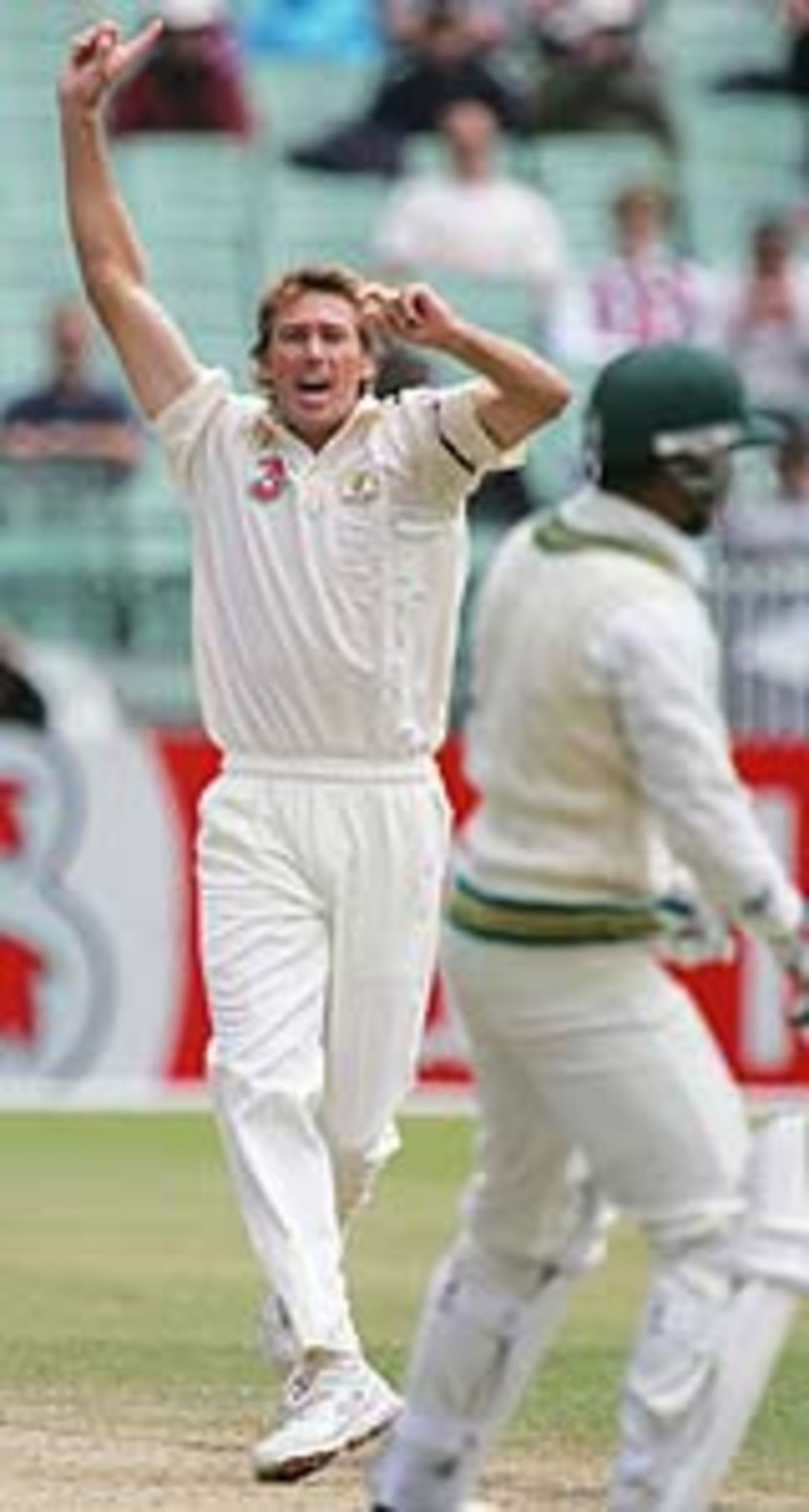 Glenn McGrath on a roll, Australia v Pakistan, 2nd Test,  Melbourne, December 29, 2004