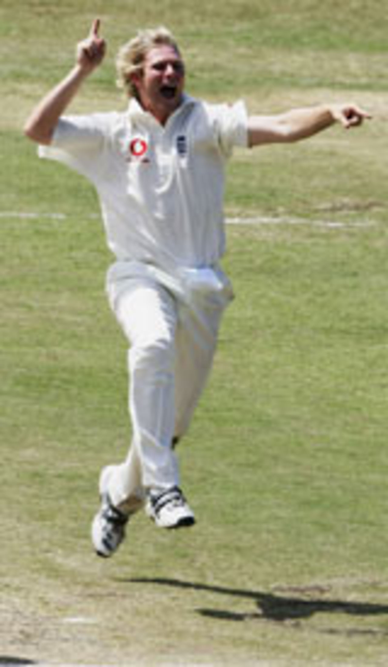 Matthew Hoggard pointing everywhere, South Africa v England, 2nd Test, Durban, 5th day, December 30 2004