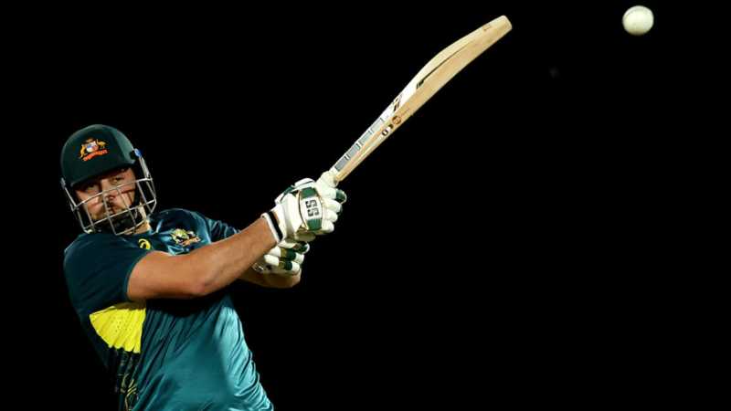 Tim David continued his stunning form with a rapid fifty, Australia vs South Africa, 2nd T20I, Darwin, August 12, 2025