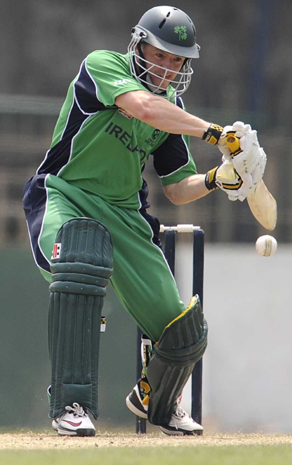 Niall O'Brien played well for his first Twenty20 International fifty
