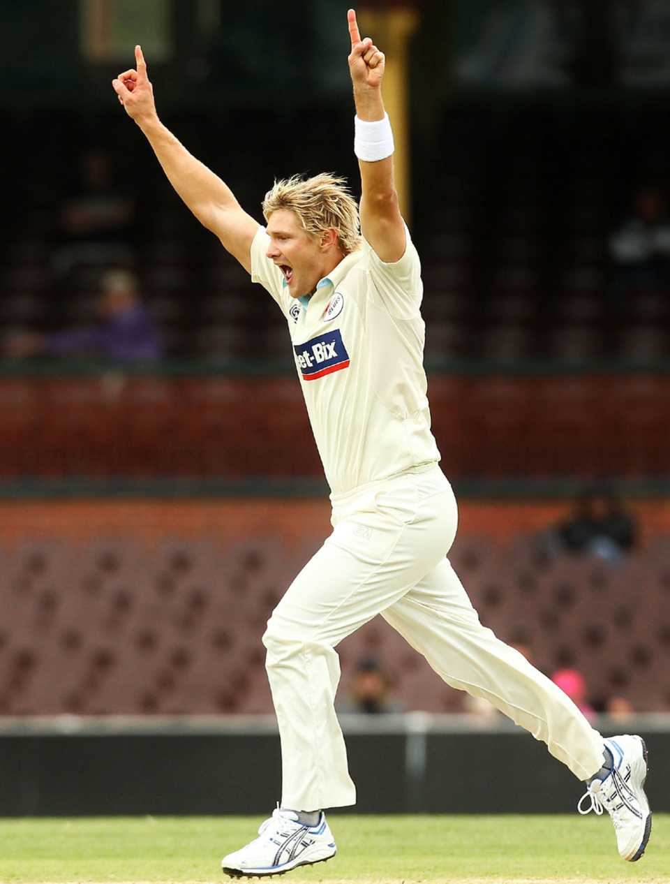 Shane Watson on the way to five wickets