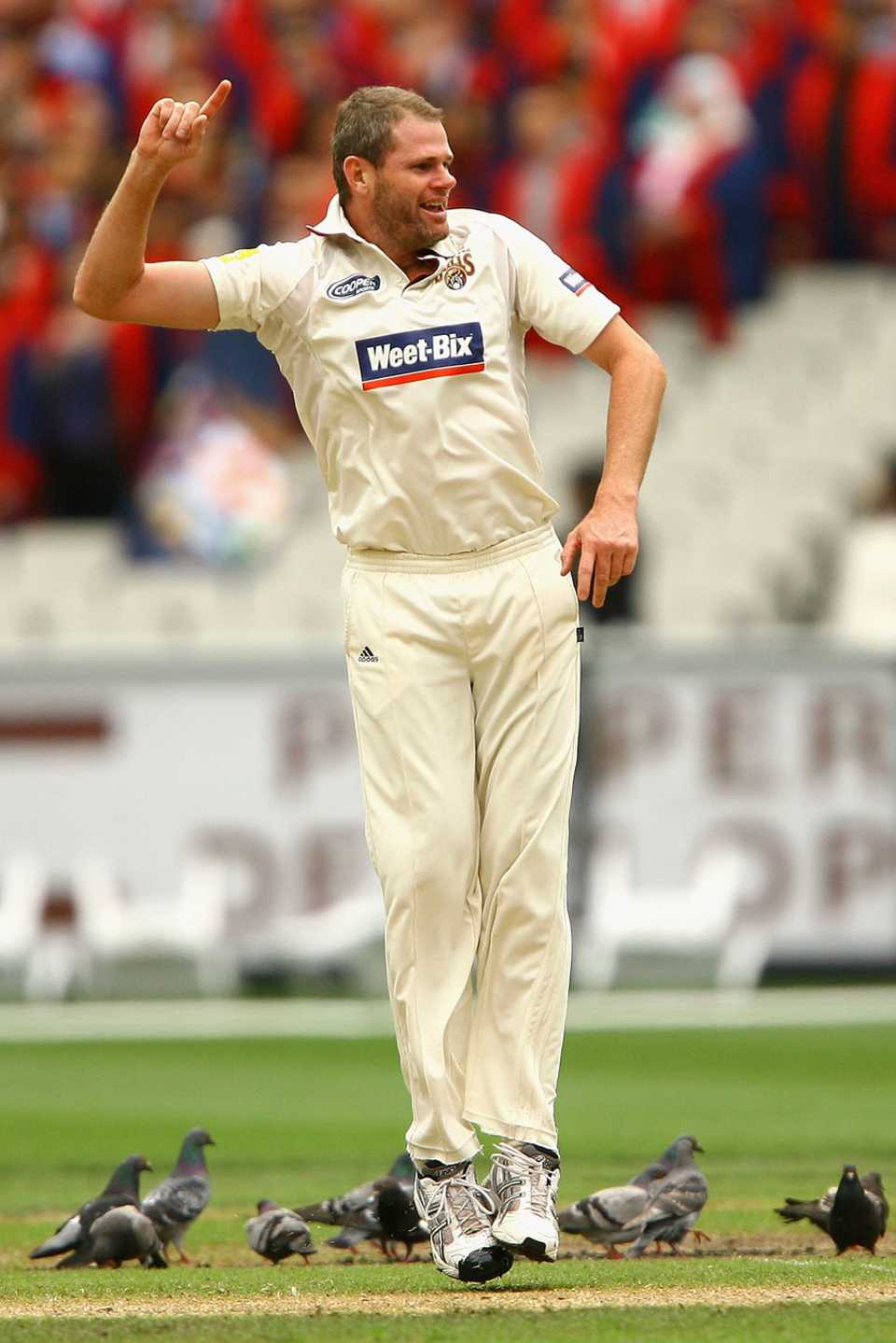 Chris Swan celebrates a wicket, Victoria v Queensland, Sheffield Shield, Melbourne, 1st day, November 27, 2010