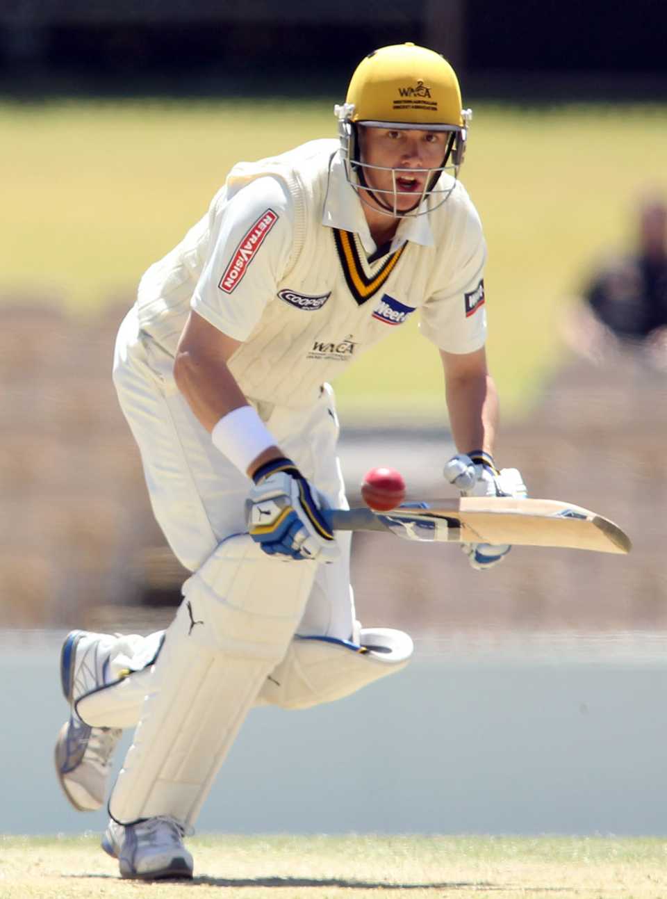Marcus North thinks about a run, South Australia v Western Australia, Sheffield Shield, Adelaide, 4th day, November 1, 2010
