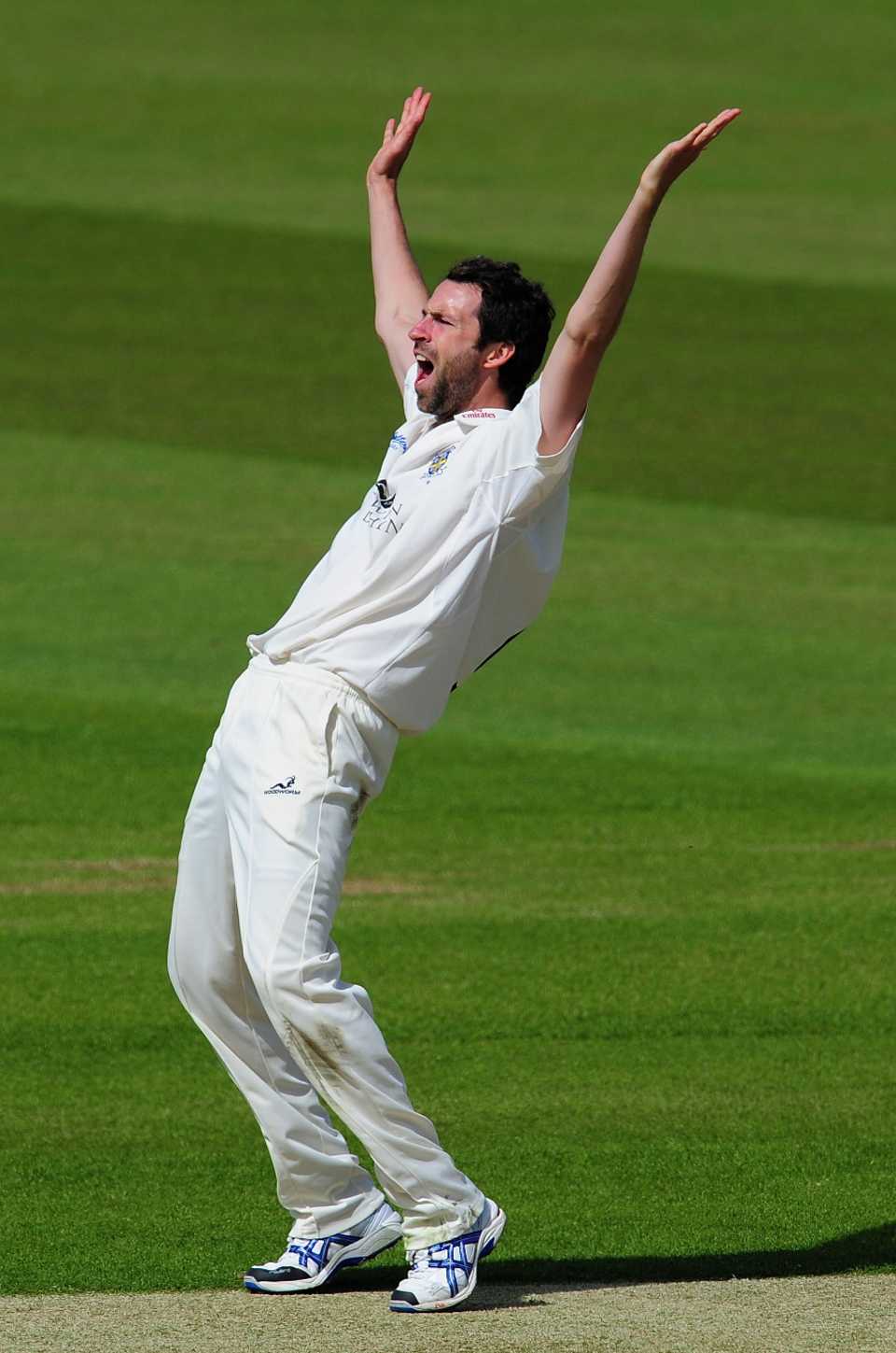 Graham Onions appeals in vain for a wicket during Somerset's mammoth innings