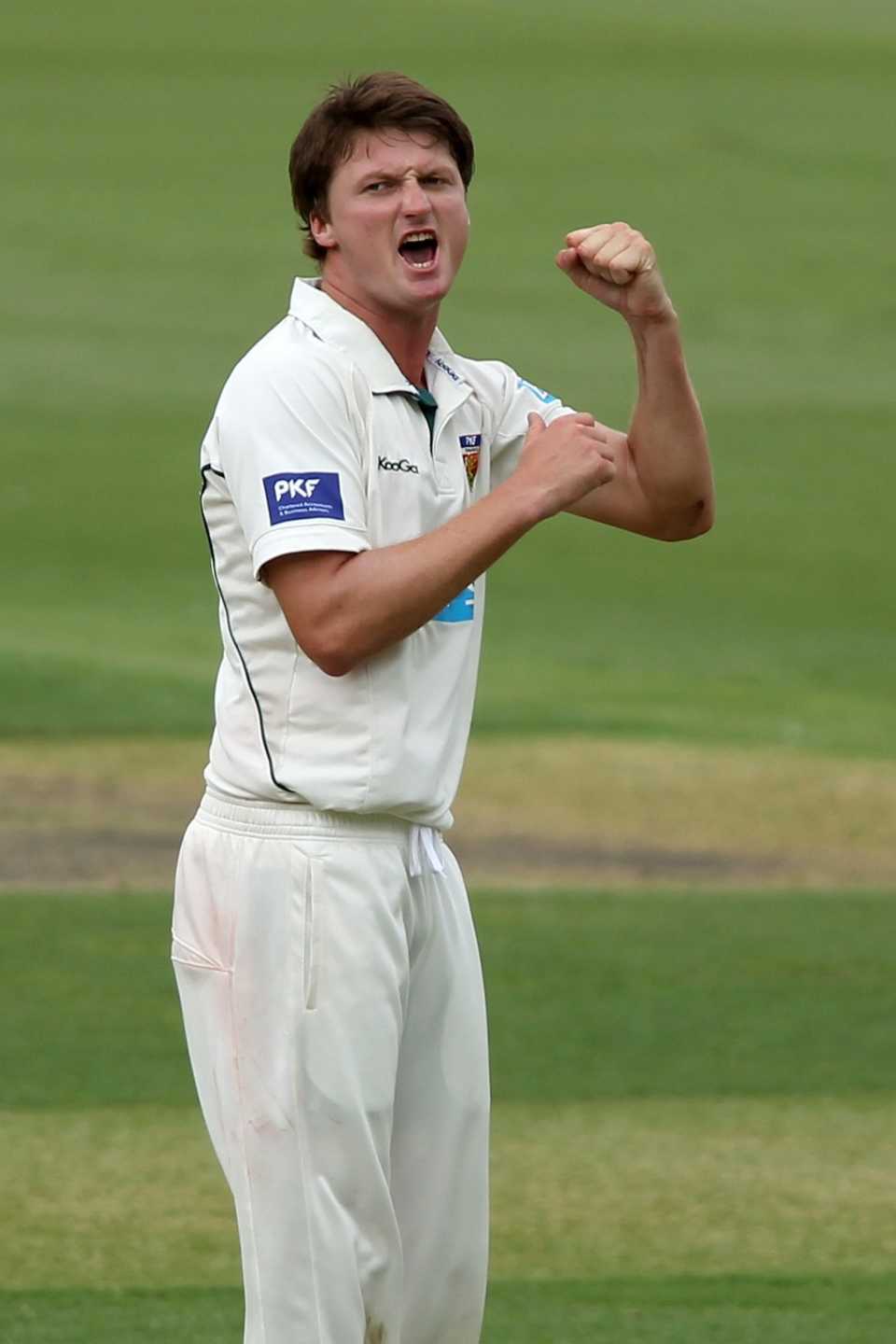 Jackson Bird celebrates a wicket, South Australia v Tasmania, Sheffield Shield, Adelaide, March 1, 2012