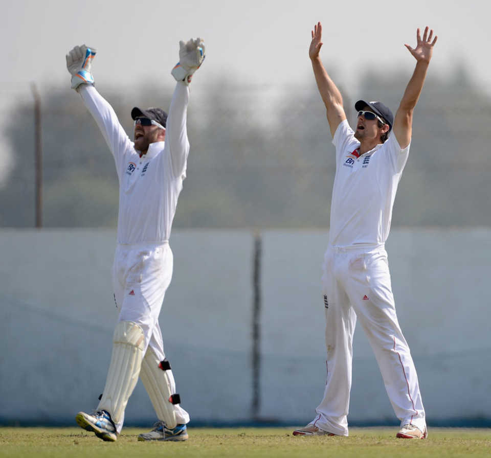 Alastair Cook and Matt Prior go up in appeal, Haryana v England XI, Ahmedabad, 4th day, November 10, 2012