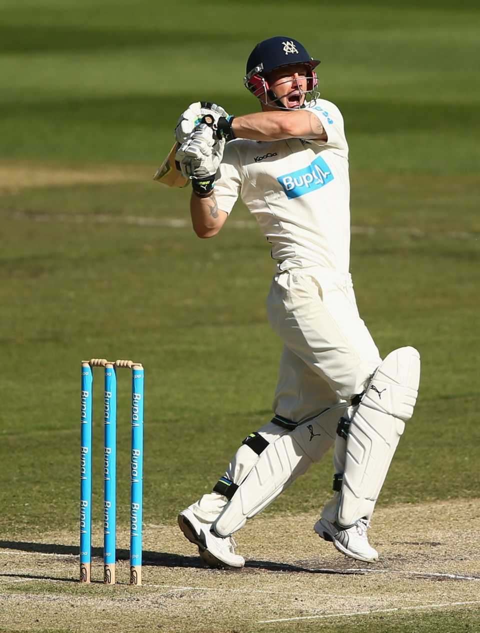 Matthew Wade goes for a hook