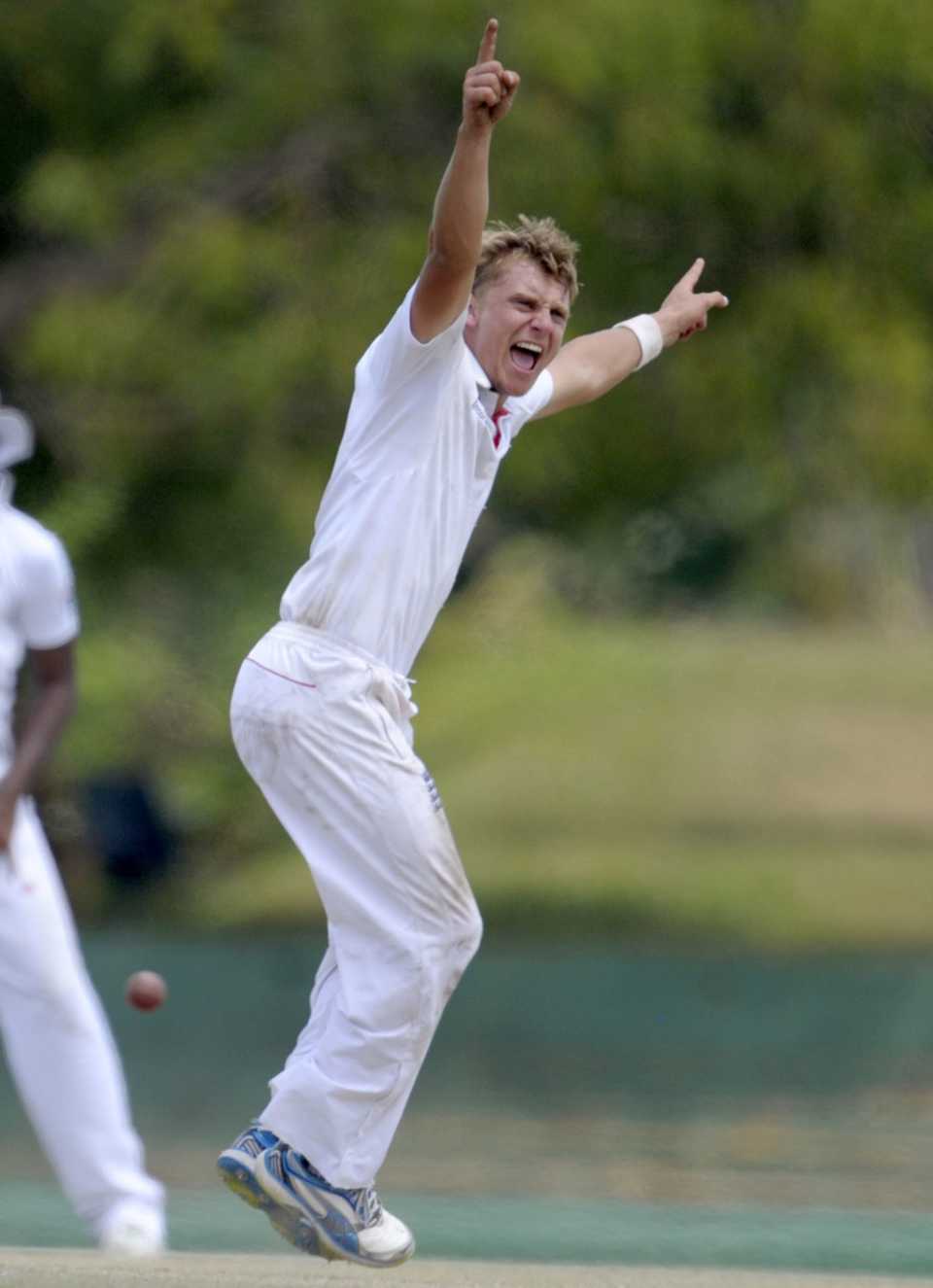 Scott Borthwick appeals unsuccessfully, Sri Lanka A v England Lions, 2nd unofficial Test, Dambulla, 4th day, February, 22, 2014