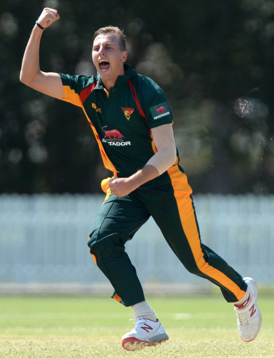 Sam Rainbird celebrates a wicket