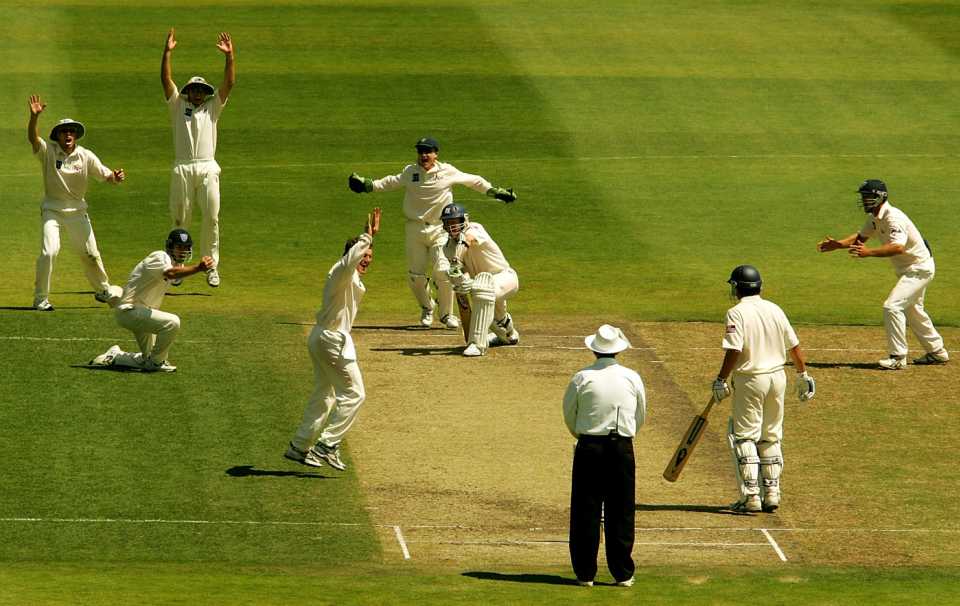 Stuart MacGill appeals as Aaron O'Brien catches Mathew Inness, Victoria v New South Wales, Pura Cup, 3rd day, November 25, 2004