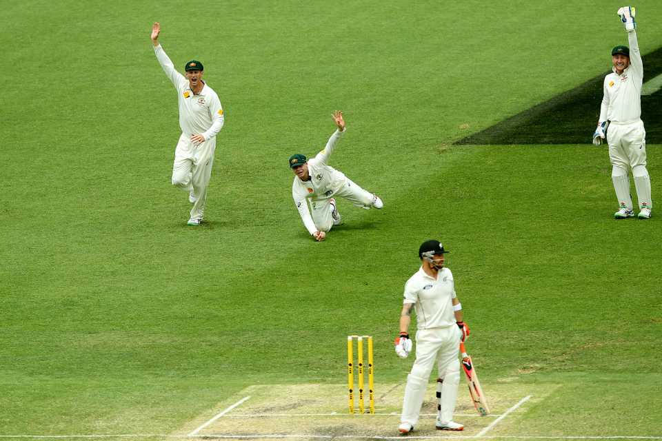 Steve Smith appeals after taking a catch to dismiss Brendon McCullum