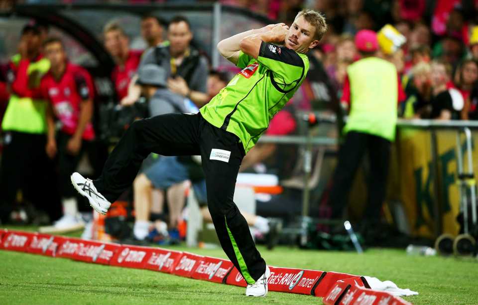 David Warner takes a catch at the boundary