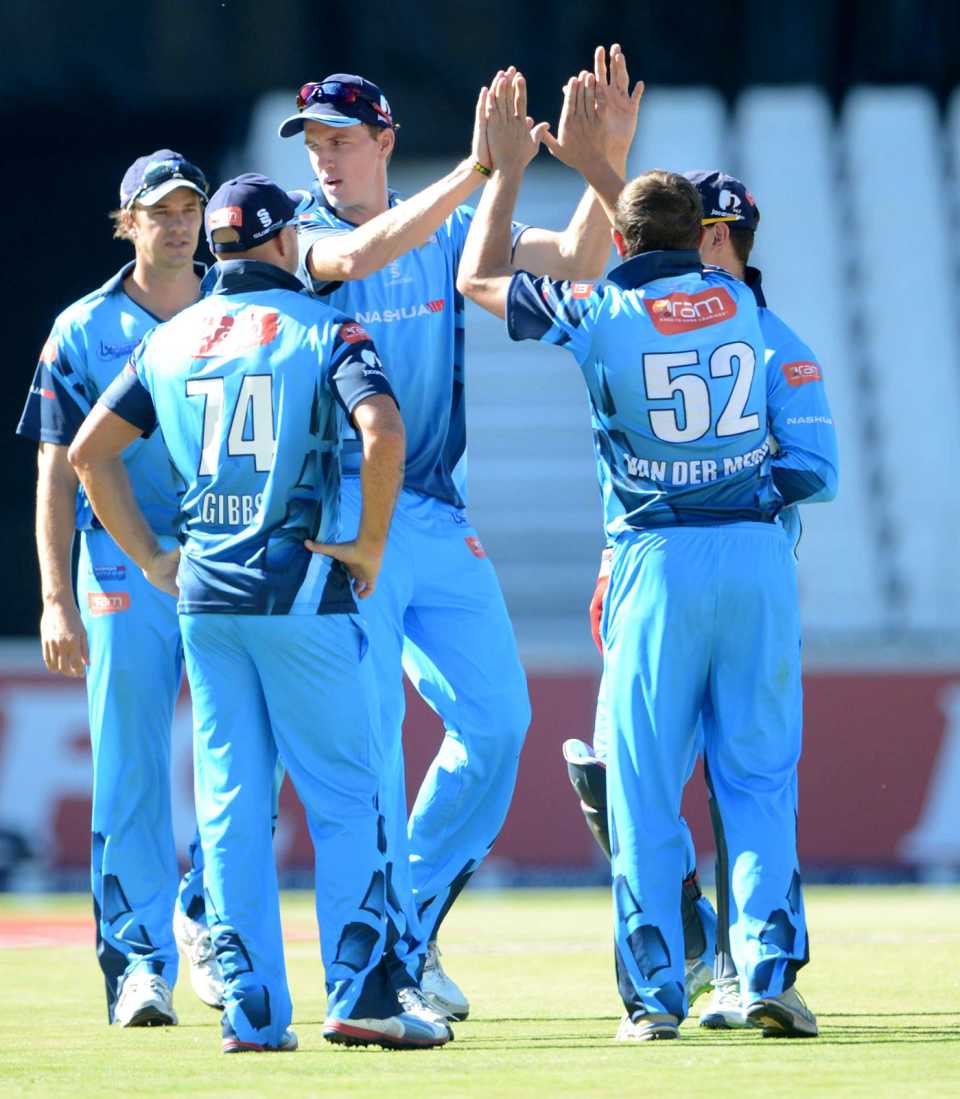 Morne Morkel and other Titans players celebrate a wicket