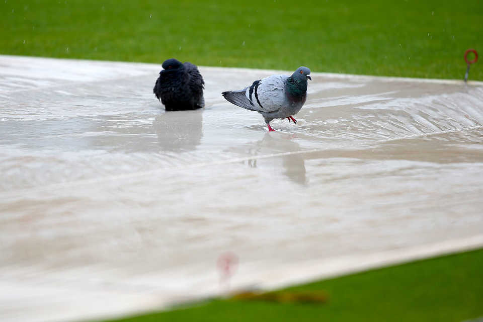 The covers at the Kia Oval become a bird bath, Surrey v Middlesex, County Championship, Division One, Kia Oval, 4th day, May 18, 2016