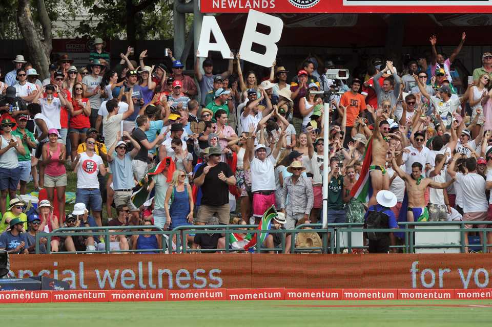 Fans cheer, South Africa v England, fifth ODI, Cape Town, February 14, 2016 