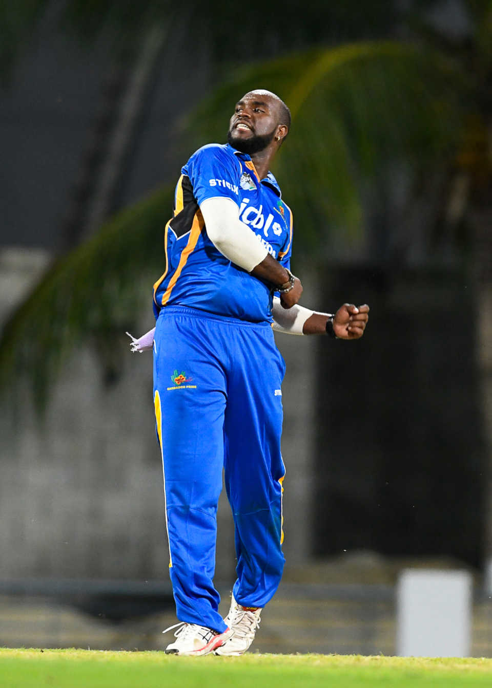 Ashley Nurse celebrates after taking one of his four wickets
