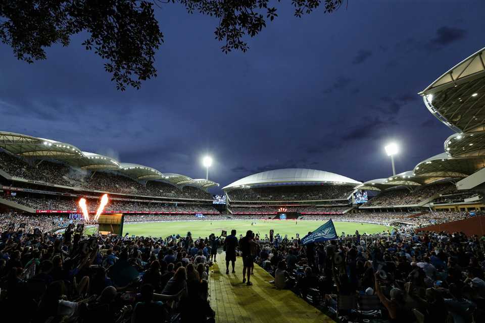 Fans enjoy the action at the Adelaide Oval, Adelaide Strikers v Sydney Thunder, BBL 2015-16, 1st semi-final, Adelaide, January 21, 2016