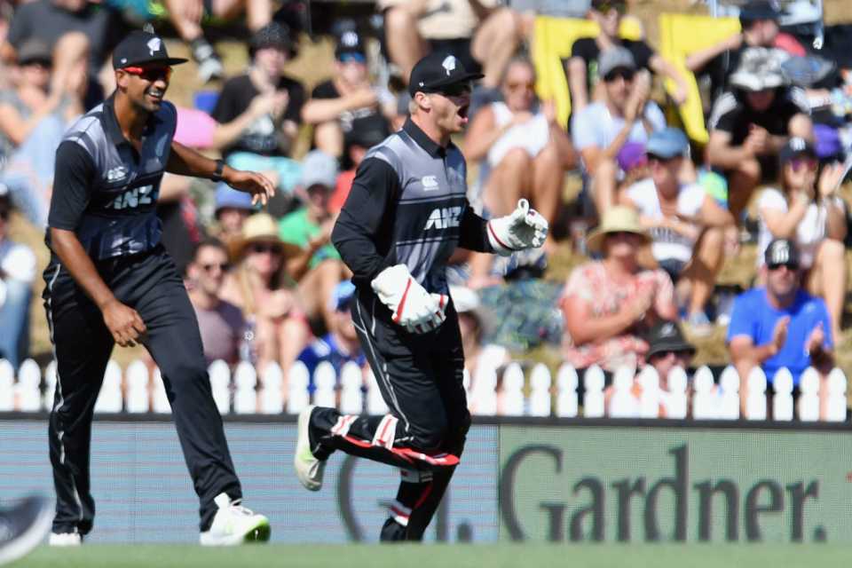 Glenn Phillips celebrates after taking a swirler to remove Chris Gayle, New Zealand v West Indies, 1st T20I, Nelson, December 29, 2017
