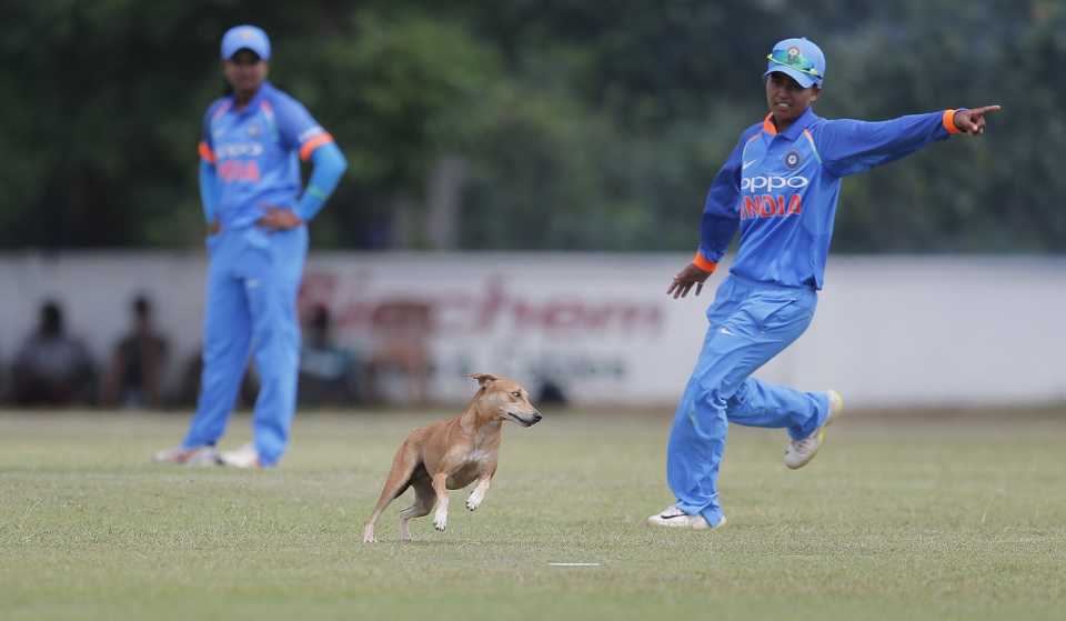 Ekta Bisht shoos away a stray dog, Sri Lanka v India, 3rd ODI, Katunayake, September 16, 2018