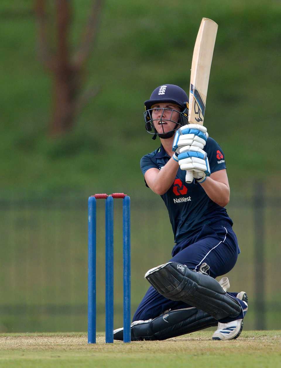 Natalie Sciver pulls to the leg side